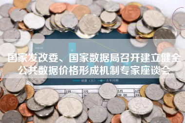 国家发改委、国家数据局召开建立健全公共数据价格形成机制专家座谈会