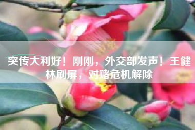 突传大利好！刚刚，外交部发声！王健林刷屏，对赌危机解除