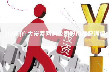 [快讯]方大炭素回购公司股份情况通报