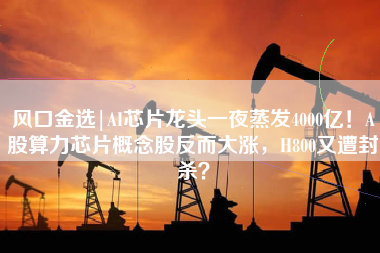 风口金选|AI芯片龙头一夜蒸发4000亿！A股算力芯片概念股反而大涨，H800又遭封杀？