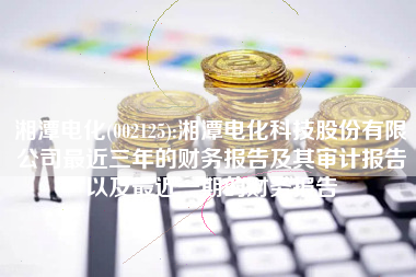 湘潭电化(002125):湘潭电化科技股份有限公司最近三年的财务报告及其审计报告以及最近一期的财务报告