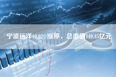 宁波远洋10.02%涨停，总市值149.45亿元