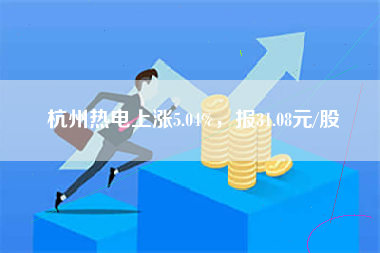 杭州热电上涨5.04%，报31.08元/股
