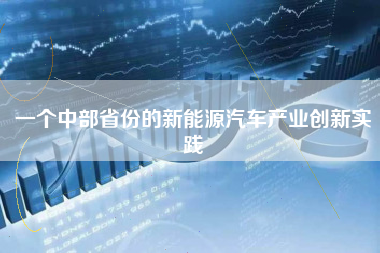 一个中部省份的新能源汽车产业创新实践