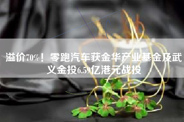 溢价70%！零跑汽车获金华产业基金及武义金投6.59亿港元战投