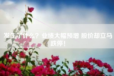 发生了什么？业绩大幅预增 股价却立马跌停！