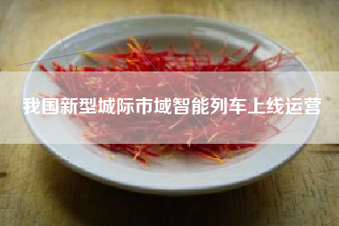 我国新型城际市域智能列车上线运营