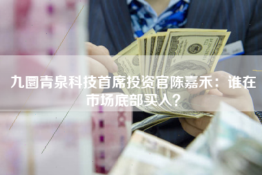 九圜青泉科技首席投资官陈嘉禾：谁在市场底部买入？