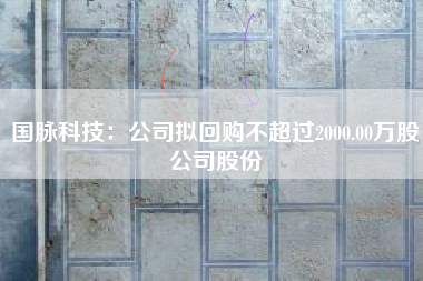 国脉科技：公司拟回购不超过2000.00万股公司股份