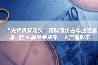 “光伏银浆龙头”帝科股份去年业绩暴增23倍 私募基金成第一大流通股东