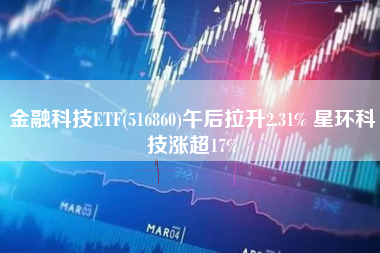 金融科技ETF(516860)午后拉升2.31% 星环科技涨超17%