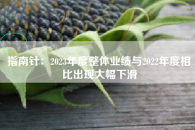 指南针：2023年度整体业绩与2022年度相比出现大幅下滑