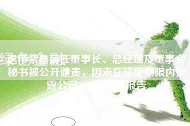 退市紫晶前任董事长、总经理及董事会秘书被公开谴责，因未在法定期限内披露公司2022年年度报告