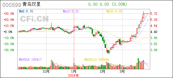 青岛双星(000599):2023年度内部控制自我评价报告