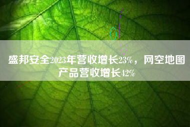 盛邦安全2023年营收增长23%，网空地图产品营收增长42%